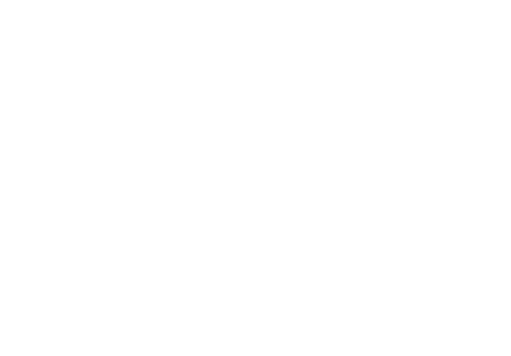 Car Wash Studio Shine