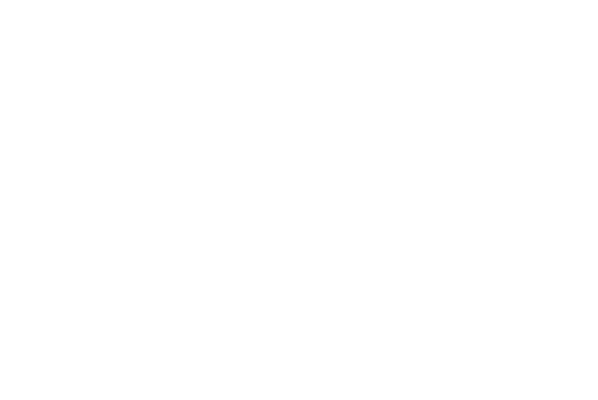 Stellar Mobile Valeting