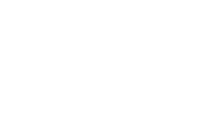 Valeting Hero